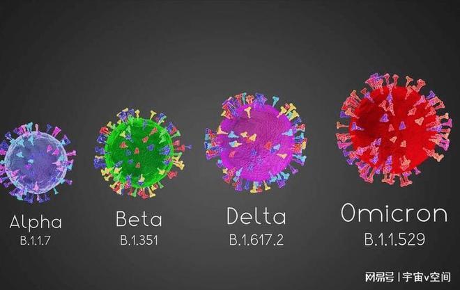 BF.7毒株或成未来全球主流毒株，一起来了解cz02毒株