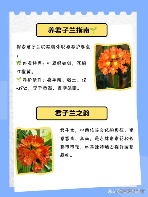 廊坊四季花语的房子怎么样_廊坊四季花语小区疫情_