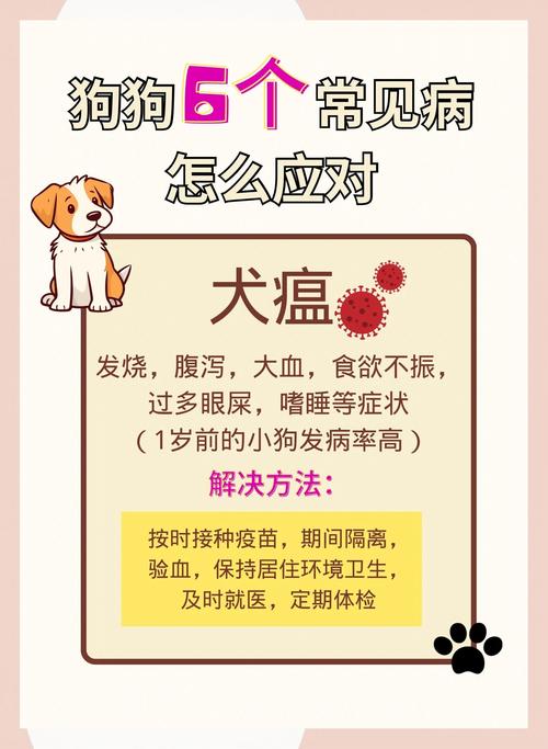 央视评隔离宠物狗被扑杀，疫情下如何保护好自家毛孩子？