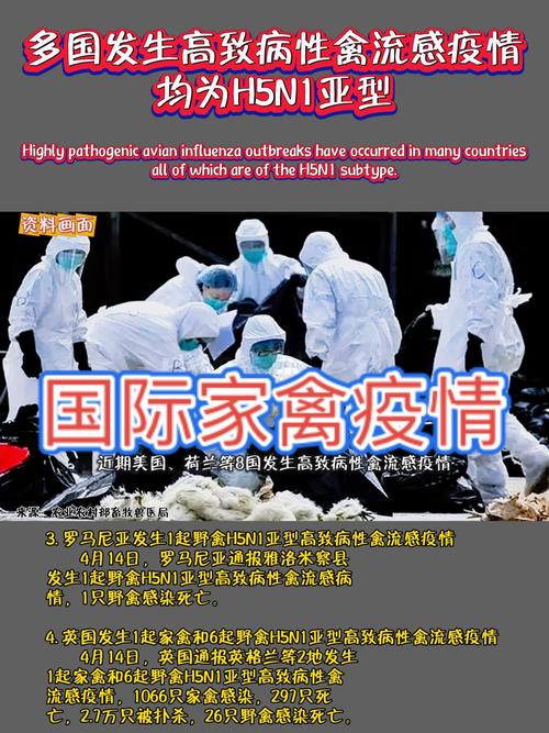 禽流感最新消息：H7N9肆虐中国，多国也现疫情