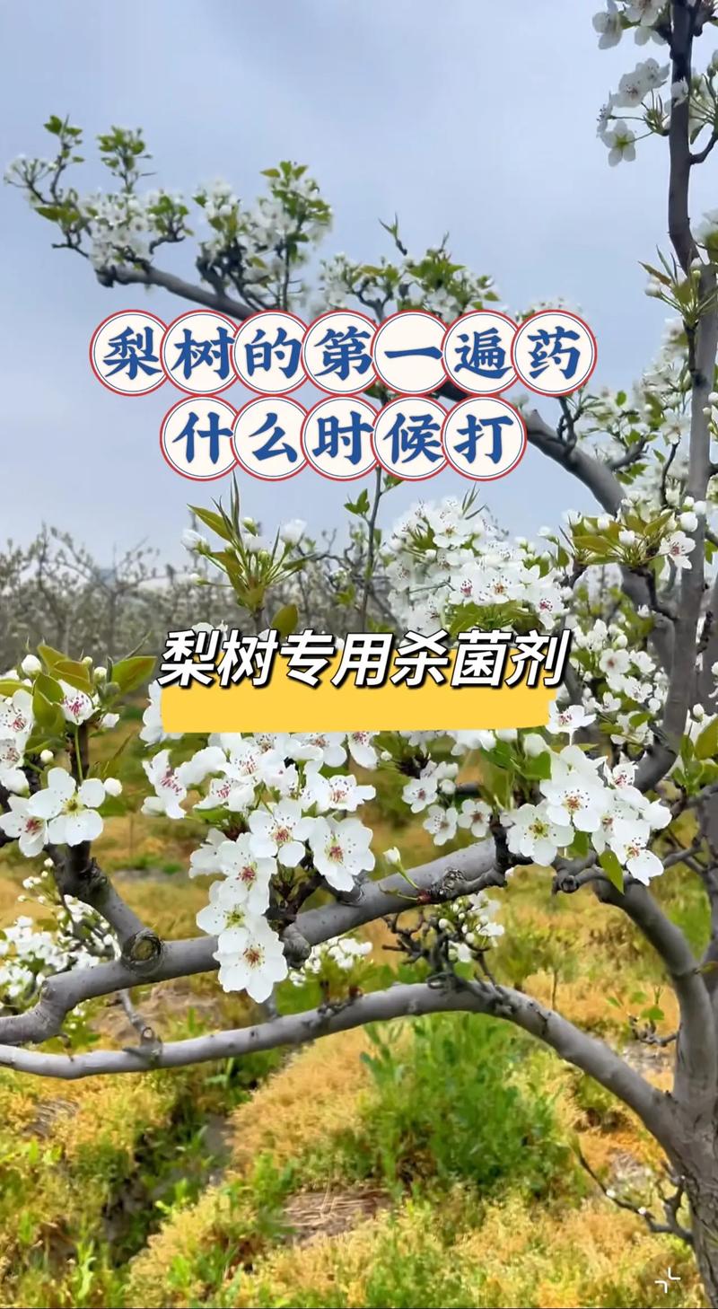 _小区卡口防疫工作情况_小区防疫卡口设置