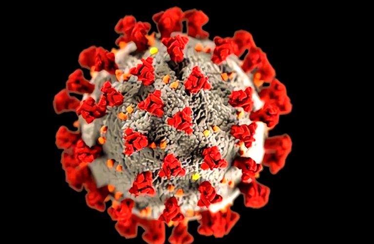 美国新冠致 30 万人惨死，多维度对比非典与新冠谁更可怕